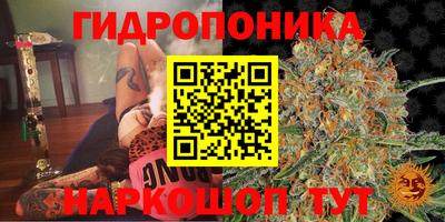 ешки Гай