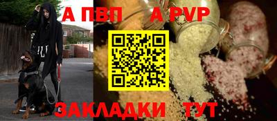 ешки Гай