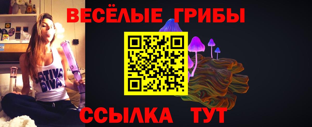 Галлюциногенные грибы MAGIC MUSHROOMS  купить наркотики цена  Грозный  Вход с VPN 